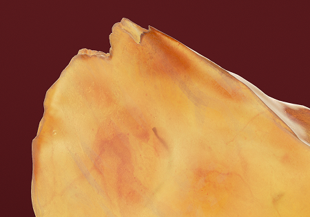 Homepage-stoneheader